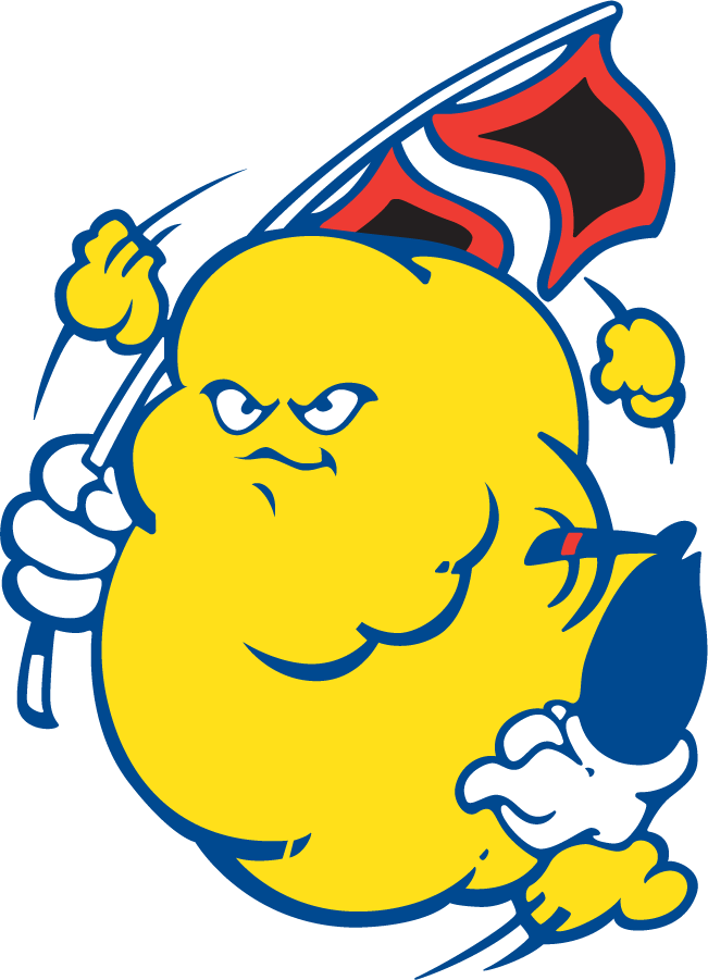 Tulsa Golden Hurricane 1980-1987 Mascot Logo diy iron on heat transfer